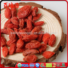 Sun-dried goji berry goji bagas frescas goji bagas